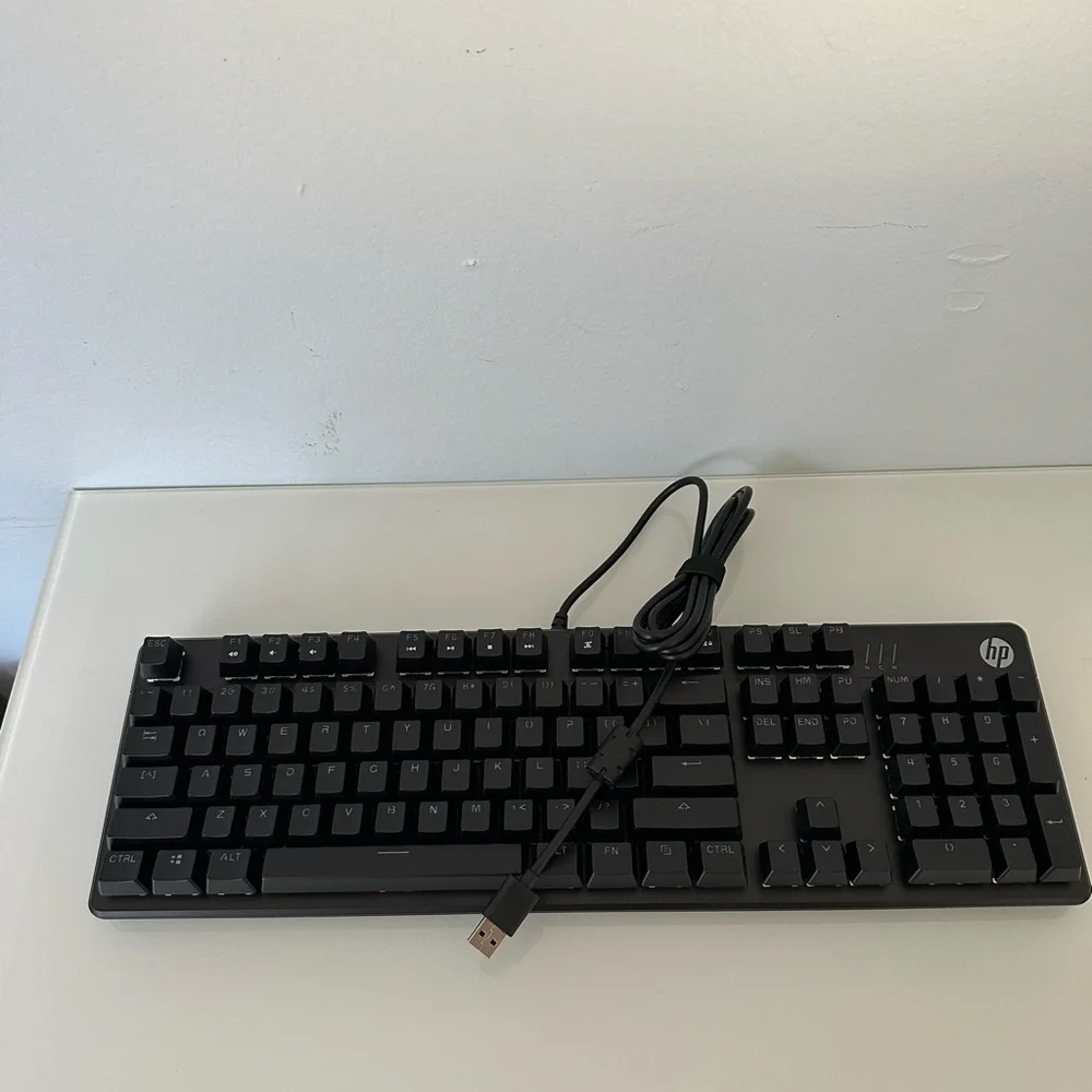 HP COMPUTER KEYBOARD MODEL HSA - D0O6K - NEW!